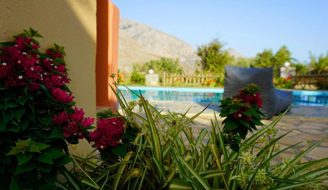 Villa Despina 1 Plakias Private Villa, Private Swimming Pool Garden,Amazing View Lefkogeia Luaran gambar